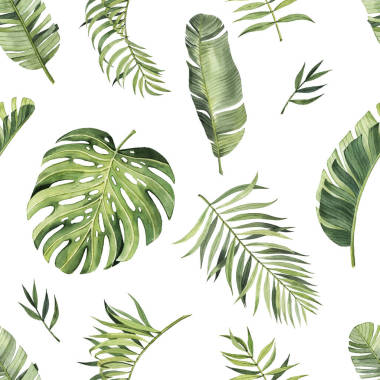 水彩斑斕的熱帶樹葉圖案.熱帶地區(qū)?，F(xiàn)實(shí)的熱帶樹葉。白色背景