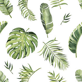 水彩斑斓的热带树叶图案.热带地区。现实的热带树叶。白色背景