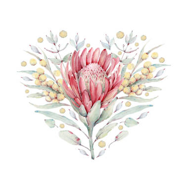 精致的情人節(jié)花心，白色背景上的水彩花，可用于婚禮卡片、請柬、母親節(jié)卡片和生日卡片。情人節(jié)賀卡很合身