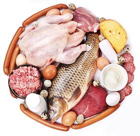 肉类和奶制品产品在圈子的形式