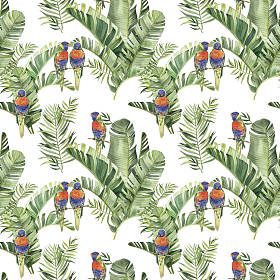 图案与美丽的水彩鹦鹉和热带树叶。热带地区。现实的热带树叶。热带鸟类。白色背景