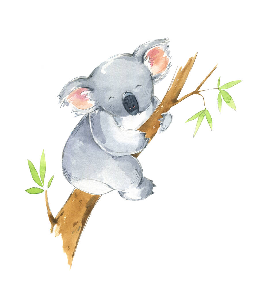 可爱的考拉坐在树上,水彩画  可爱的考拉坐在树上,水彩画