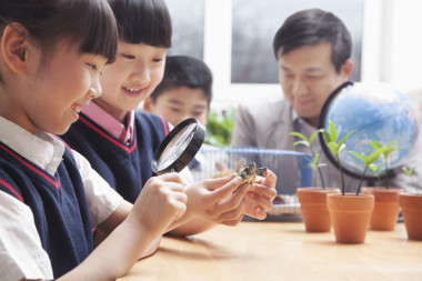 審查通過(guò)放大鏡龜?shù)呐?>
                    </a>
                    <div   id=