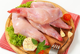 未加工的兔子肉图片