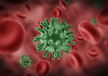 病毒通過靜脈漂浮