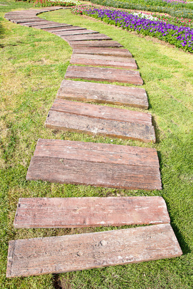 园林绿化在花园里.图片