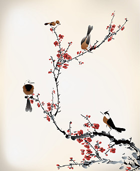 画鸟