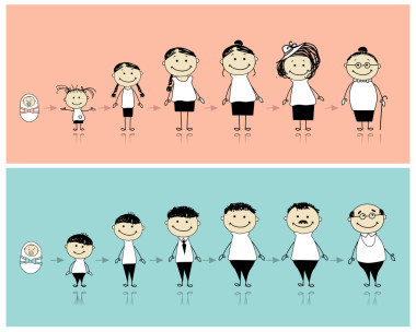 男人和女人在不同的人生阶段图片