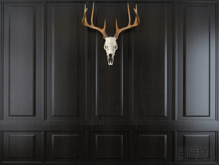 用鋒利的角鹿頭骨