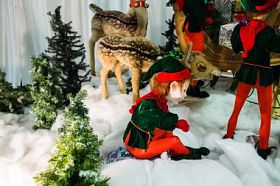 可爱的小精灵在白雪皑皑的显示