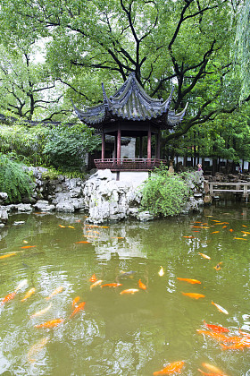 传统园林、 上海图片
