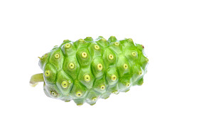 诺丽印度桑