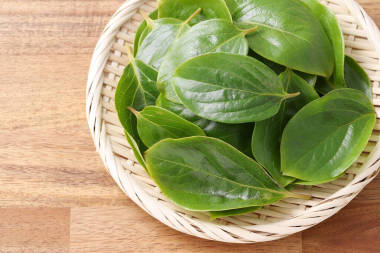 鰻魚葉，竹籃中的草藥  圖片