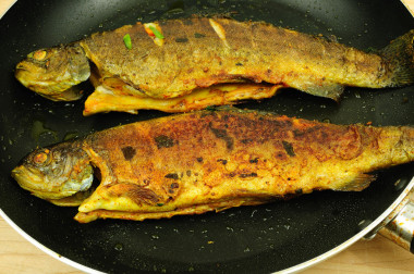 香辣魚魚苗圖片