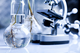 植物生态学实验室实验图片