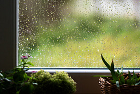 雨图片