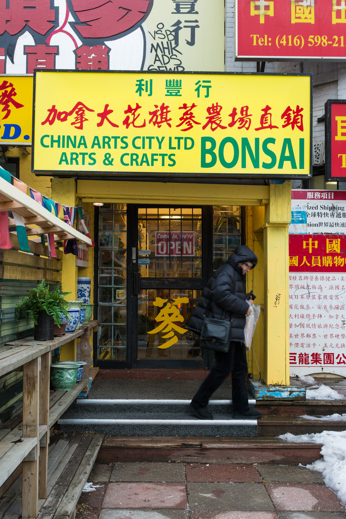 多样的场景，在多伦多，加拿大的中国城