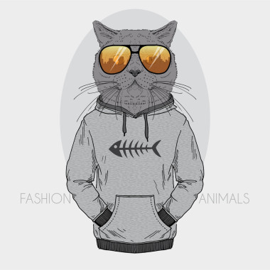 打扮得顏色的貓圖片