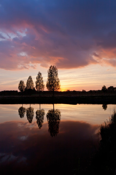 初秋树上日落背景天空湖附近照片