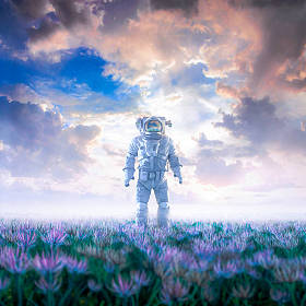 进入梦幻/ 3D超现实的科幻场景，孤独的宇航员在灿烂的天空下漫步在一片花丛中