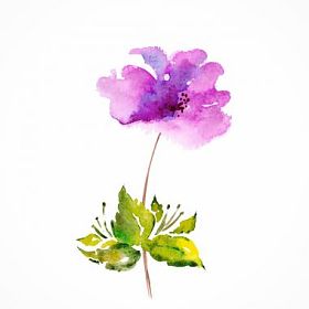 淡紫色的花。水彩花卉背景