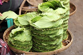 堆栈的槟榔叶