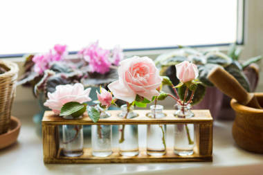 這種玫瑰精油在家里散發(fā)著令人愉快的香氣