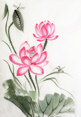 莲花和蜻蜓