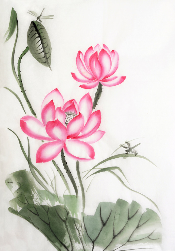 莲花和蜻蜓