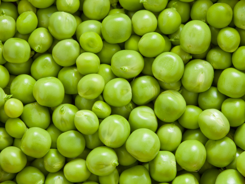绿豌豆图片 绿豌豆图片