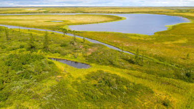 森林冻土带和沙滩河岸的景观，鸟瞰。北极圈，冻土带。直升机上美丽的冻土带景