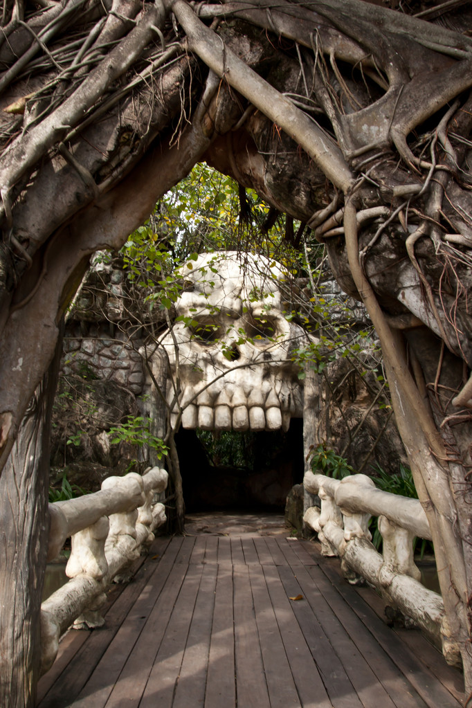 骷髅门图片