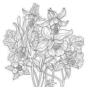 用椰子花为植物图解着色。彩色页面。花纹。单色线条绘图