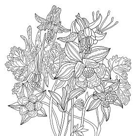 用椰子花为植物图解着色。彩色页面。花纹。单色线条绘图