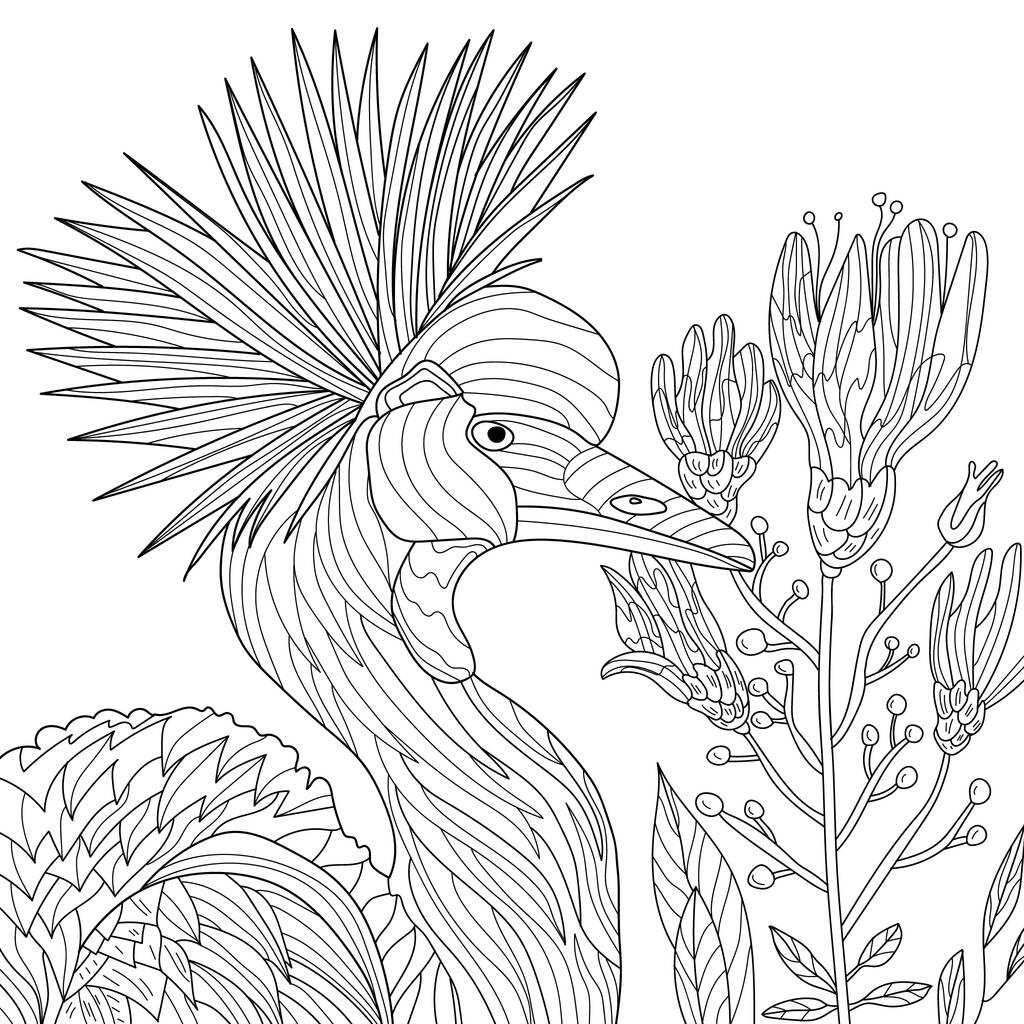 有花纹和异国情调的鸟的无缝隙质感 