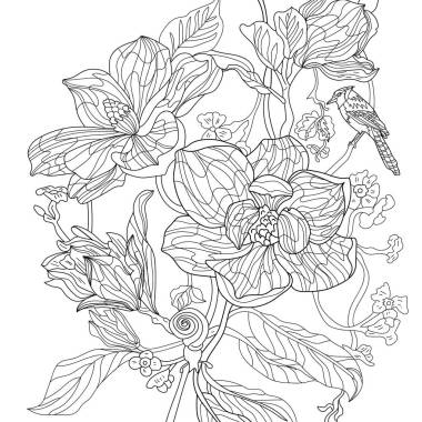 用花和鸟作色图解