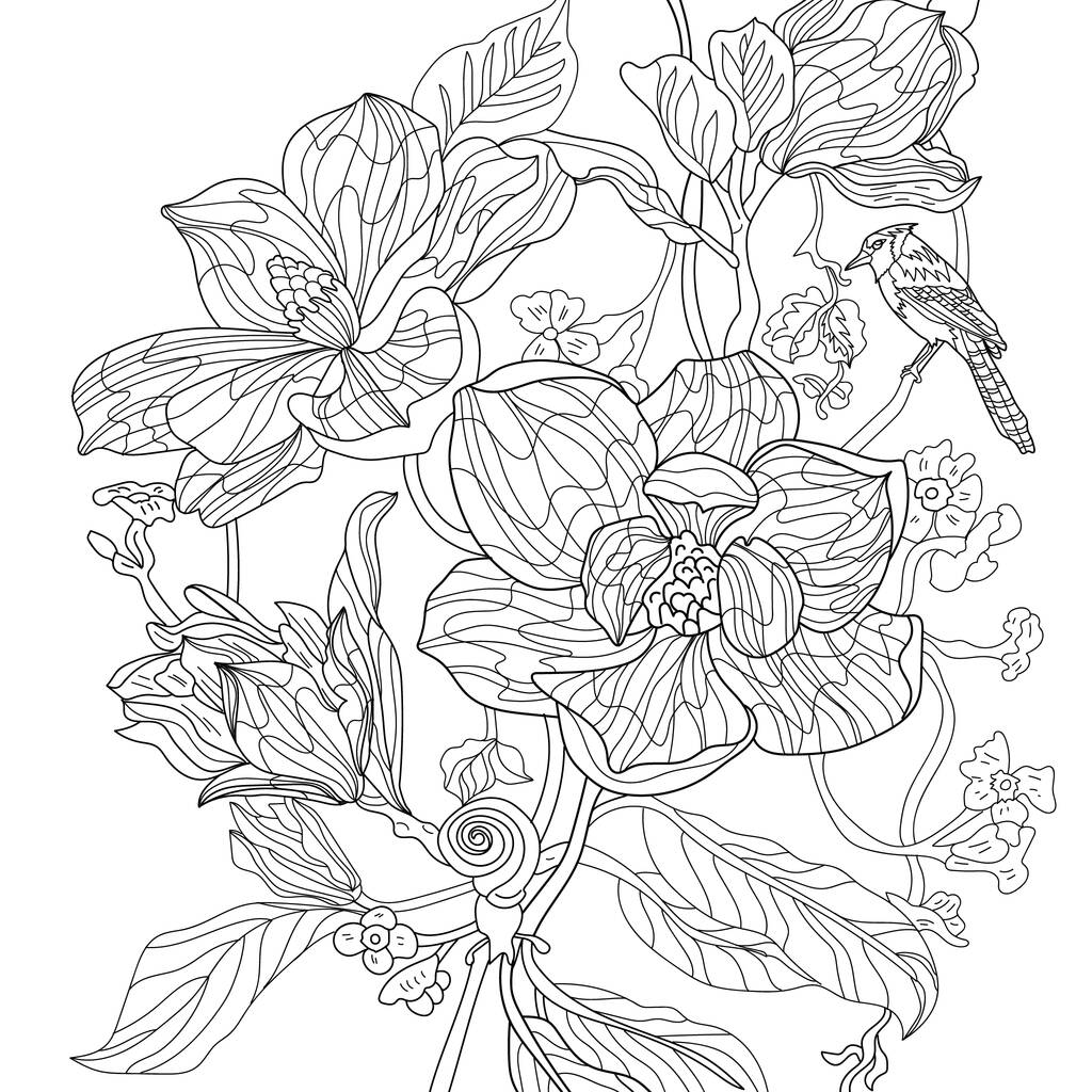 用花和鸟作色图解