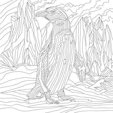 企鹅、鸟类、动物的彩色图解 