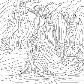 企鹅、鸟类、动物的彩色图解 