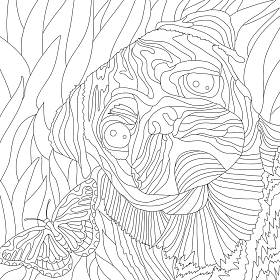 画龙点睛、画龙点睛、画龙点睛 