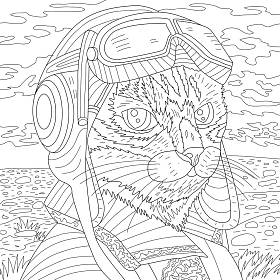 领航猫的彩绘图解、动物艺术 