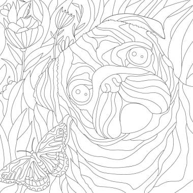 滑稽哈巴狗臉的色彩圖解、動(dòng)物藝術(shù) 