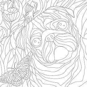 滑稽哈巴狗脸的色彩图解、动物艺术 