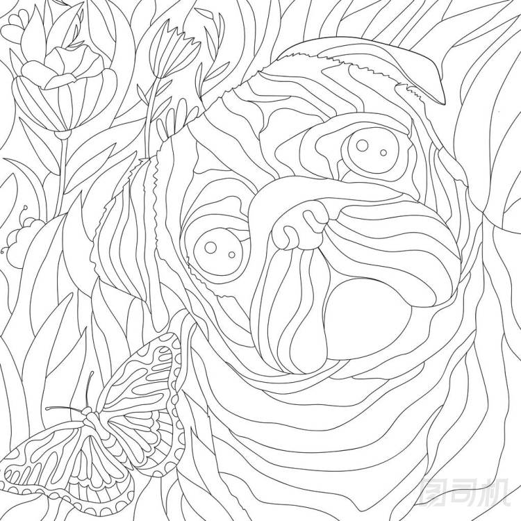 滑稽哈巴狗臉的色彩圖解、動物藝術 