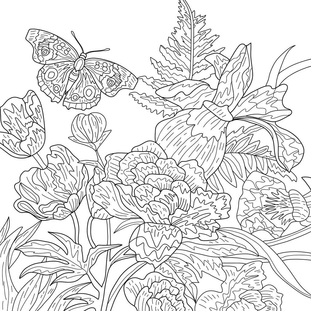 用花朵和蝴蝶彩绘插图 图片