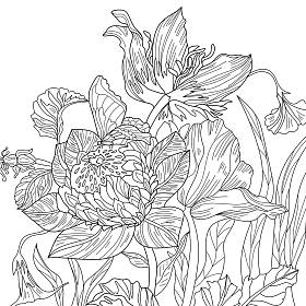 无缝线纹理,花纹,花朵 