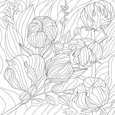 花花纹的黑色白色纹理，花瓣 