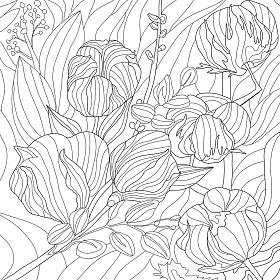 花花纹的黑色白色纹理，花瓣 