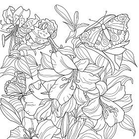 百合花彩绘图解 