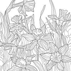 水仙花彩绘图画花瓣 